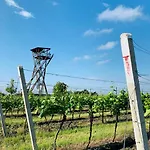 Zahradni 6 Dom wakacyjny Velké Pavlovice