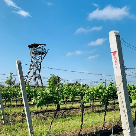Zahradni 6 Feriehus Velké Pavlovice